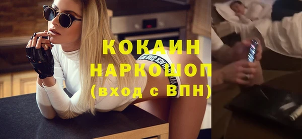 гашик Алексин
