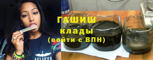 гашик Алексин