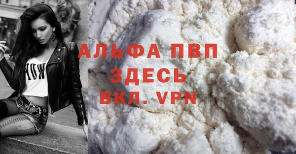 гидра Абаза
