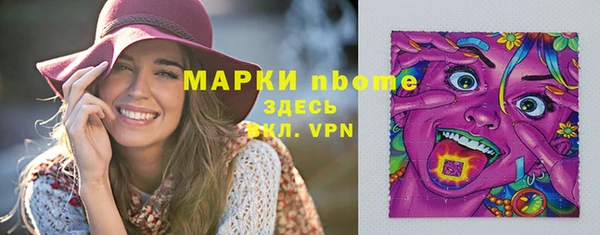 гашик Алексин